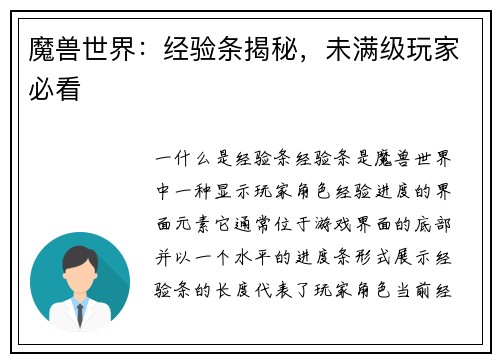 魔兽世界：经验条揭秘，未满级玩家必看